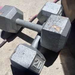 Weights 20 lbs Dumbells