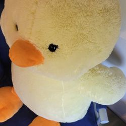 Giant Duck Teddy