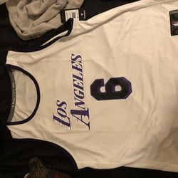 LeBron James Jersey