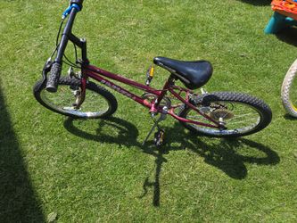 20 inch bike