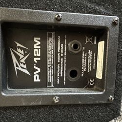 Samson resound HD 10in Subwoofer (2)