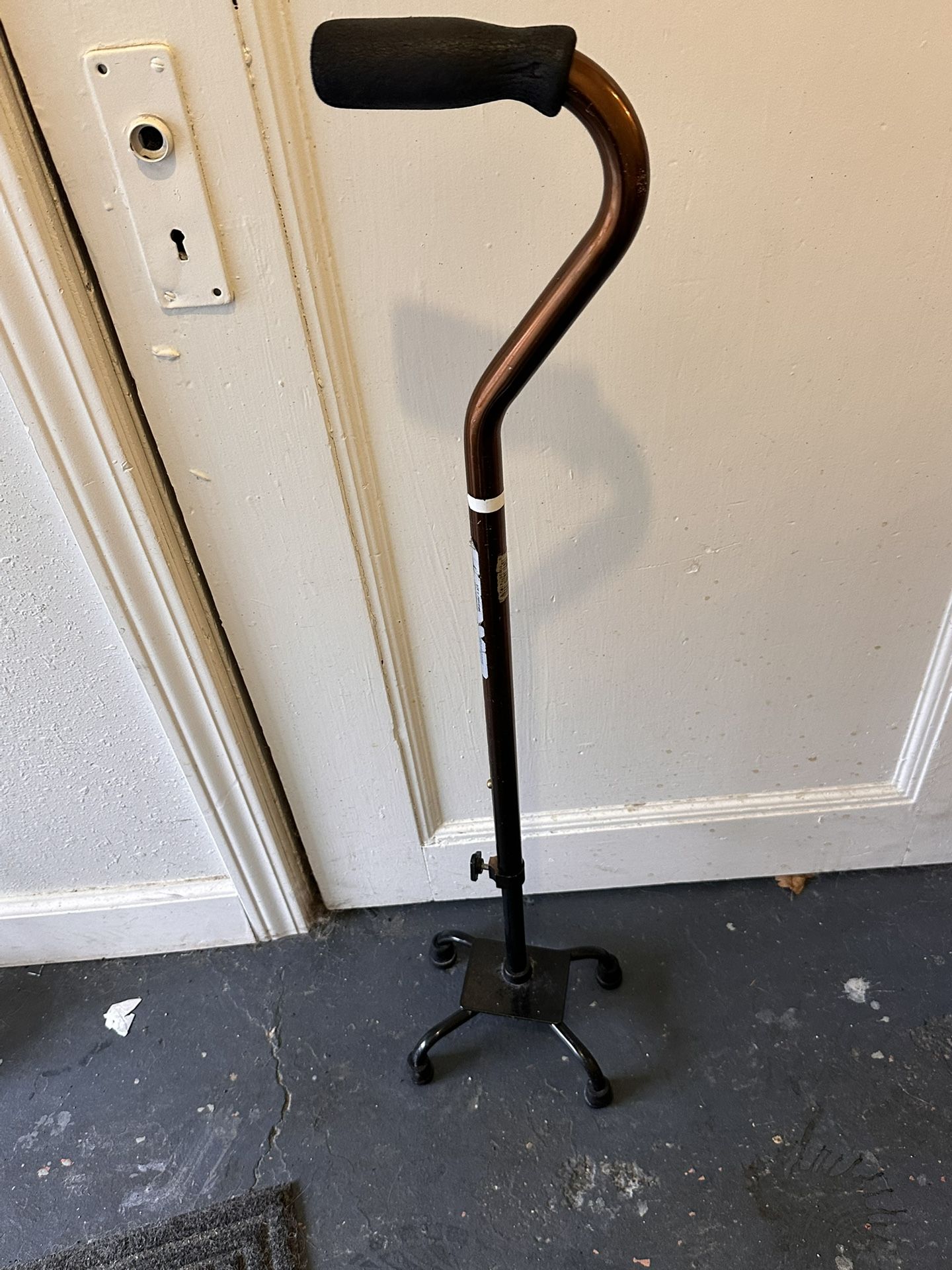 Cane 4-prong Sturdy Cane   FREE