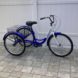 Adult Tricycle