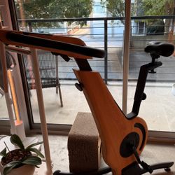 NOHrD Indoor Exercise Bike - Ash 