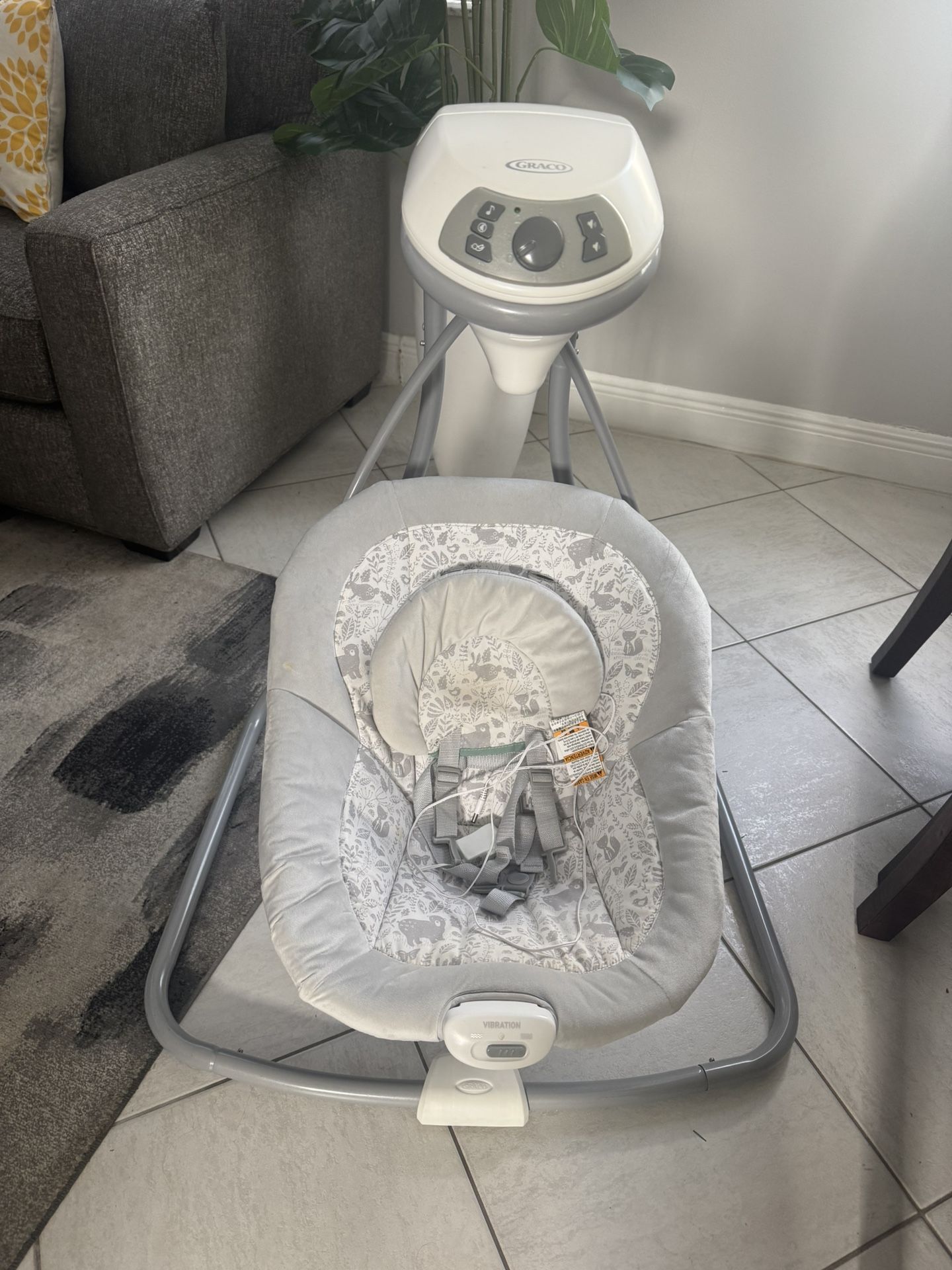 Graco Baby Swing
