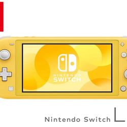 Nintendo Lite