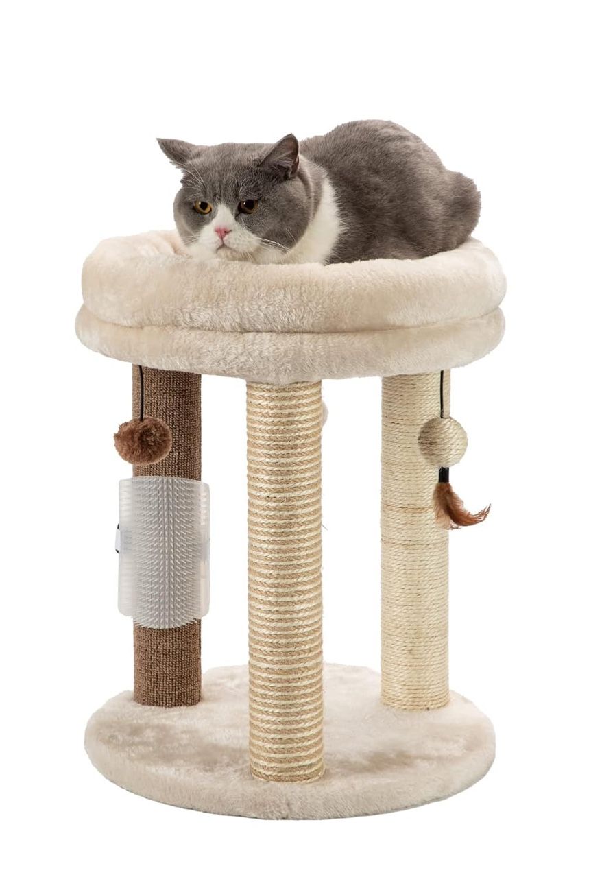 Cat Tree And Scratching Posts