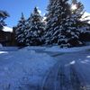 Lanai_18