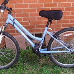 Roadmaster Bike 