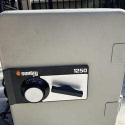 Sentry Safe