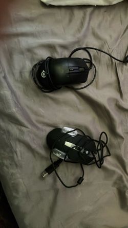 Mouse’s