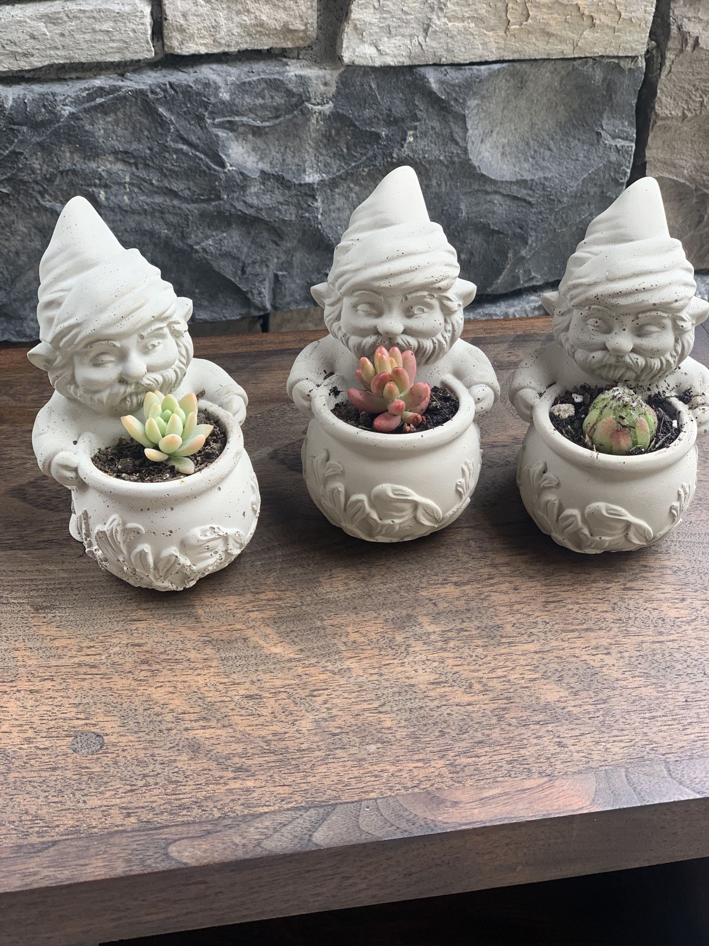 Gnome Cement Planter with succulent $10 per planter
