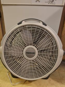 Fan