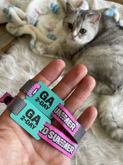 Hard Summer 2-day GA wristbands