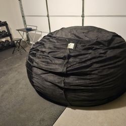 Giant Bean Bag Chair/bed