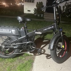 Bice eléctrica con su cargado