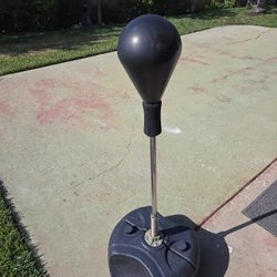 Punching Bag 