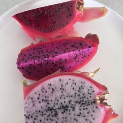 Dragon fruit PLANTS