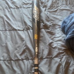 Marucci Cat 8 Usssa 31” Drop 8