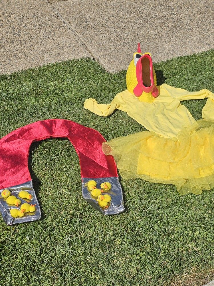 Chicken Magnet Costumes