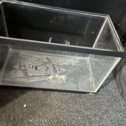 Fish Tank $25