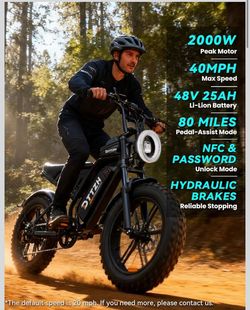 Electric bike