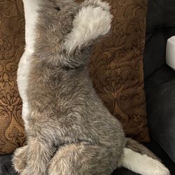 Wolf 