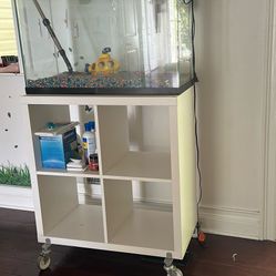 Great Fish Tank With Cubby On Wheels