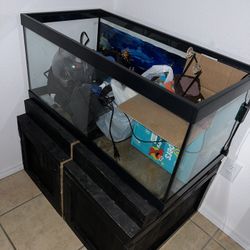 Fish Tank 40 Gallon