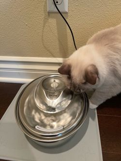 ORSDA Pet Water Fountain Stainless Steel, 2L/67oz Pet