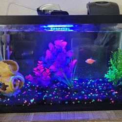 Glow 10 gal Fish Tank Set
