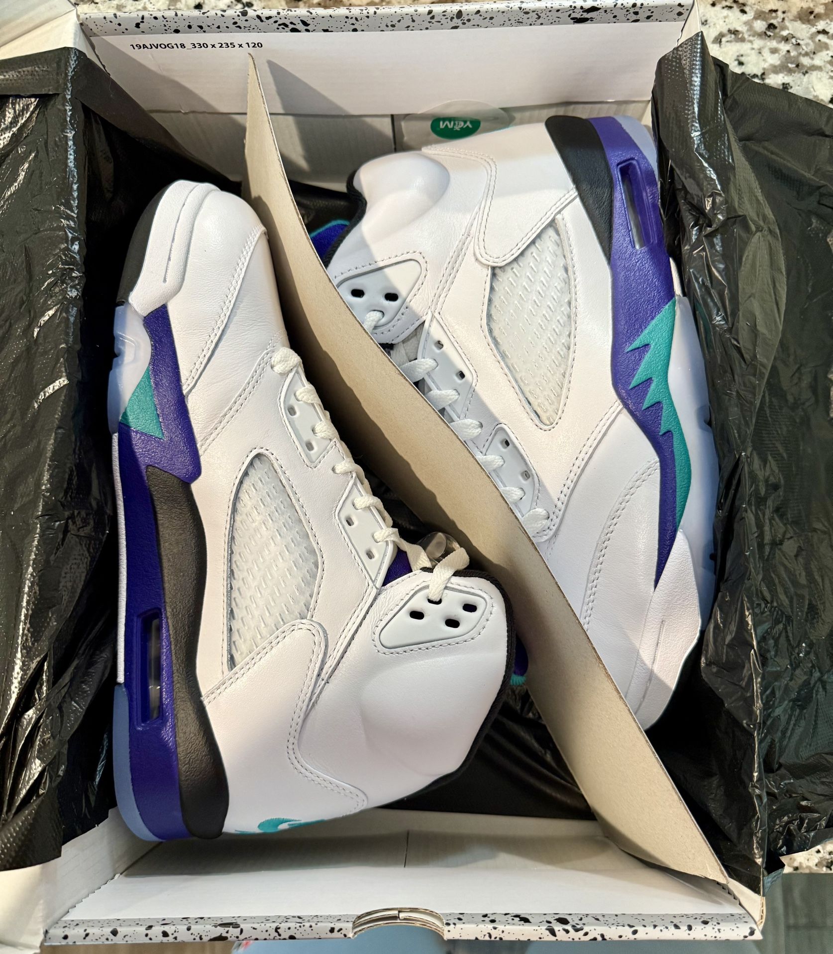 Men’s Nike Air Jordan Retro 5 “grapes” Size 7