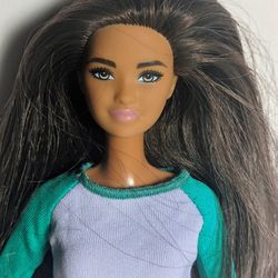 Barbie Fashionista Doll