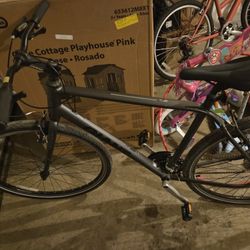 Giant Escape Sports Bike (L)