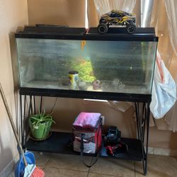 80 gallon fish tank