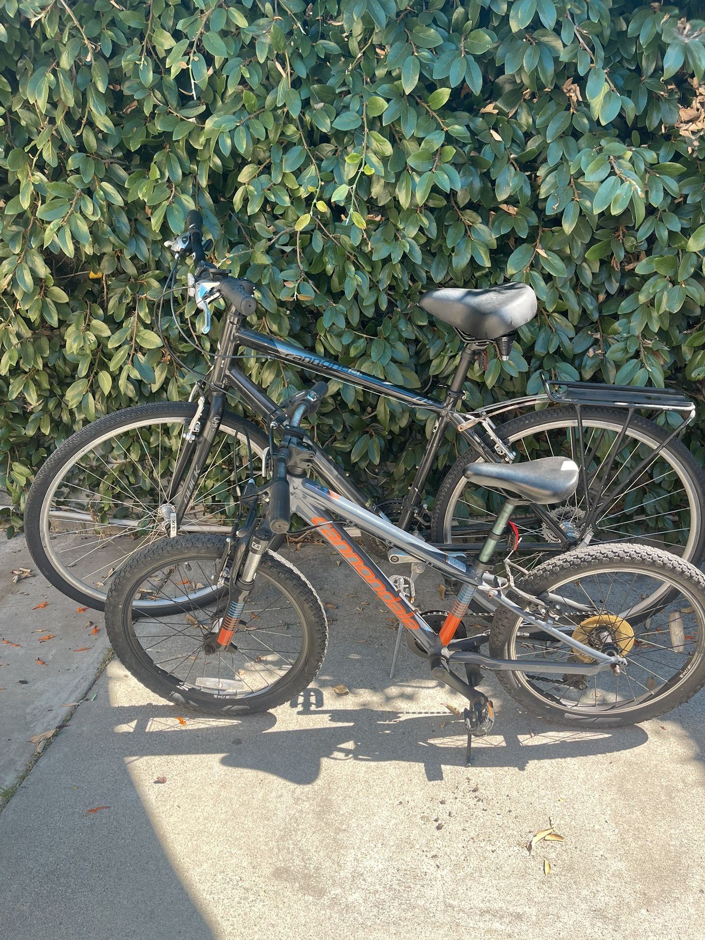TWO FATHER/DAUGHTER/SON CANNONDALE BIKES FOR SALE!!