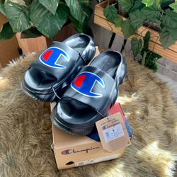 Champion Slides 