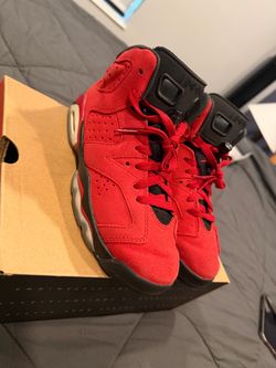 Jordan 6 Toro