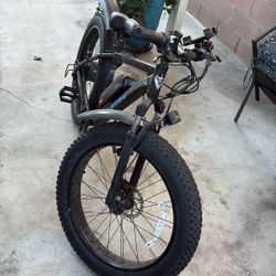 Electric Bike