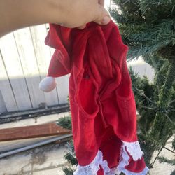 Santa Puppy Costume 
