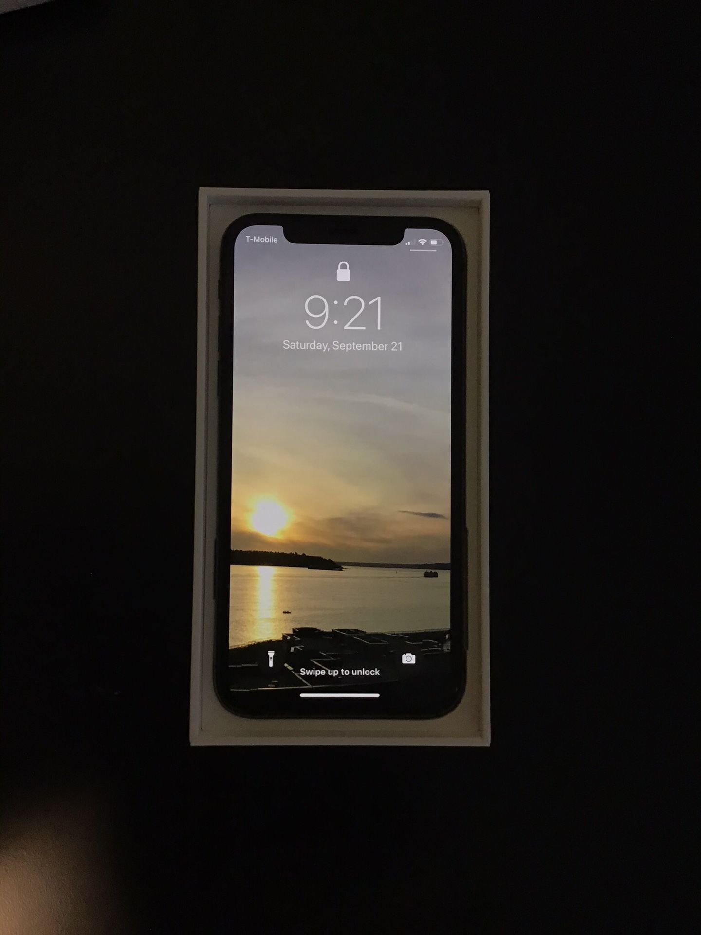 iPhone X 256GB Factory Unlocked. Original packaging and accessories never used. w/Free new case