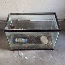 20gal Fish Tank 