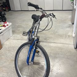 Wildwood mountain bike