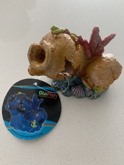 Fish Aquarium Display