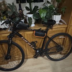 Giant Roam Disc 4 (Large)