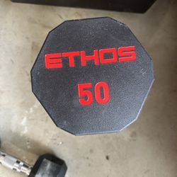 50 Lb Weight 