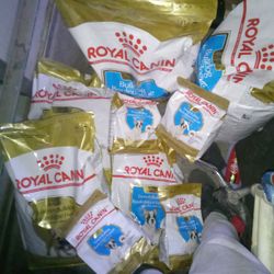 Royal Canin Bulldog/French Bulldog Dog Food