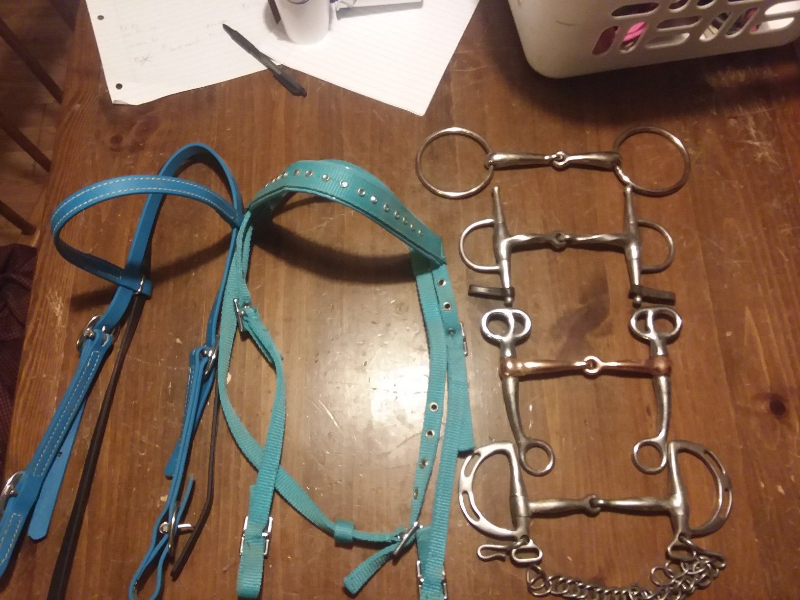 Horse tack