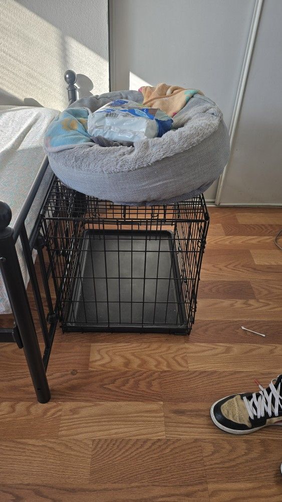 Dog Kettle And Bed For Small Dog