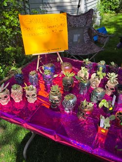 Plants and handcrafted items